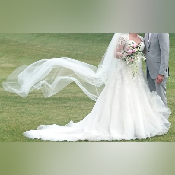 Sophia Tolli- Ivory Blush Wedding Gown for Sale - Picture 10 of 16